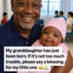 My Wheelchair-Bound Twin Daughters Asked Me to Forgive Them on Father’s Day… Then the Doorbell Rang