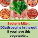 Garlic: Nature’s Flavorful Ally—But Not a Replacement for Antibiotics