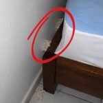 I Found Something Strange Under My Son’s Bed—Does Anyone Know What It Is?